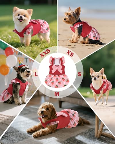 Image of CuteBone Dog Dress for Small Dogs Girl, Strawberry Summer Dresses with Bow & Ruffle Sleeve, UPF50+ Sun Protection, Cute Pet Clothes for Puppy for Birthday Wedding Party Beach ZSFX02XS