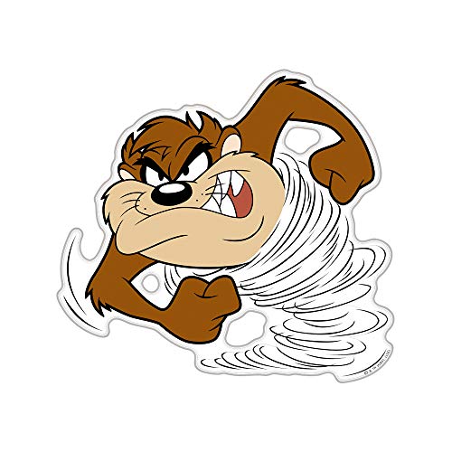 ルーニーテューンズコラボ♪フレイムデザイン タズ　TAZ 2008 ルーニーテューンズコラボ♪フレイムデザイン タズ TAZ 2008