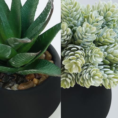Winlyn Set of 3 Artificial Succulent Plants in Black Concrete Pots Faux Aloe Hops String of Pearls Potted Plants Small Fake Plants Desk Plants for Home Office Desk Kitchen Bathroom Shelf Windowsill - Image 3