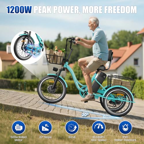 Electric Tricycle for Adults, Peak 1200W Electric Trike,