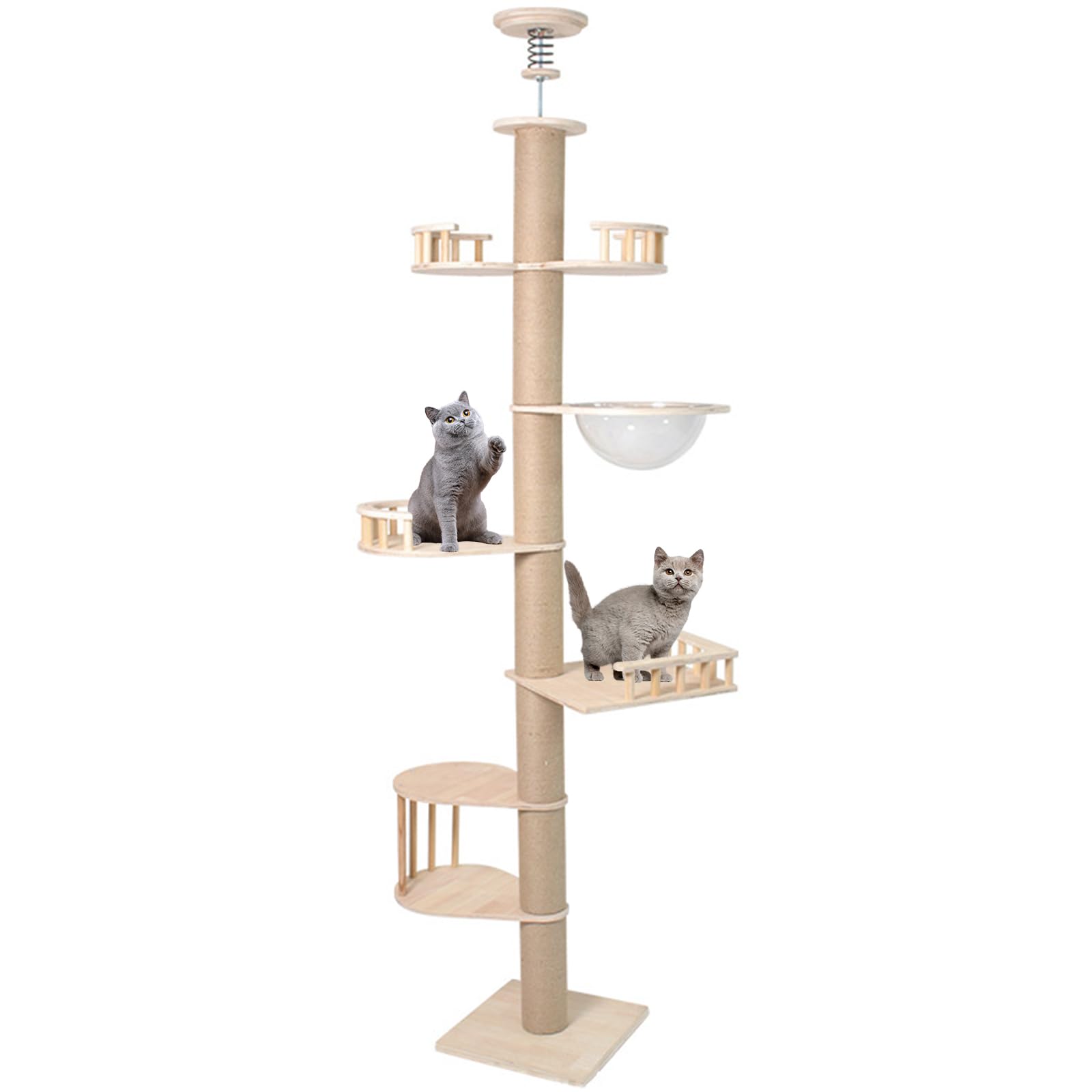 Tiragraffi per Gatto A Soffitto, Albero per Gatti Multilivello in Legno con Tiragraffi in Sisal, Amaca E Altezza Regolabile, 40X40x230-245Cm Albero Tiragraffi per Gatti su 6 Livelli