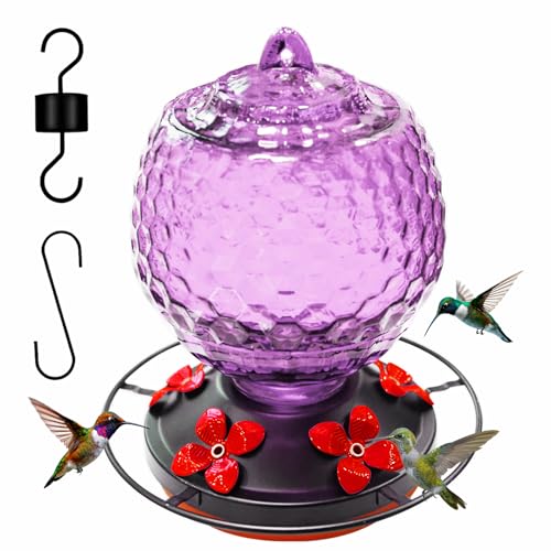 Glass Hummingbirds Feeder for Outdoors Hanging 25 OZ Humming Birds Feeder for Outdoors Hummingbird Gifts(Purple)
