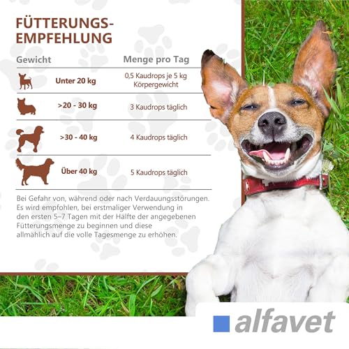 alfavet CaniGum Glanduvet, Kaudrops für Hunde bei Analdrüsenverstopfung, unterstützt Kotqualität und Darmwohl, Diät-Ergänzungsfuttermittel, Analdrüsenkur für Hunde 300 g