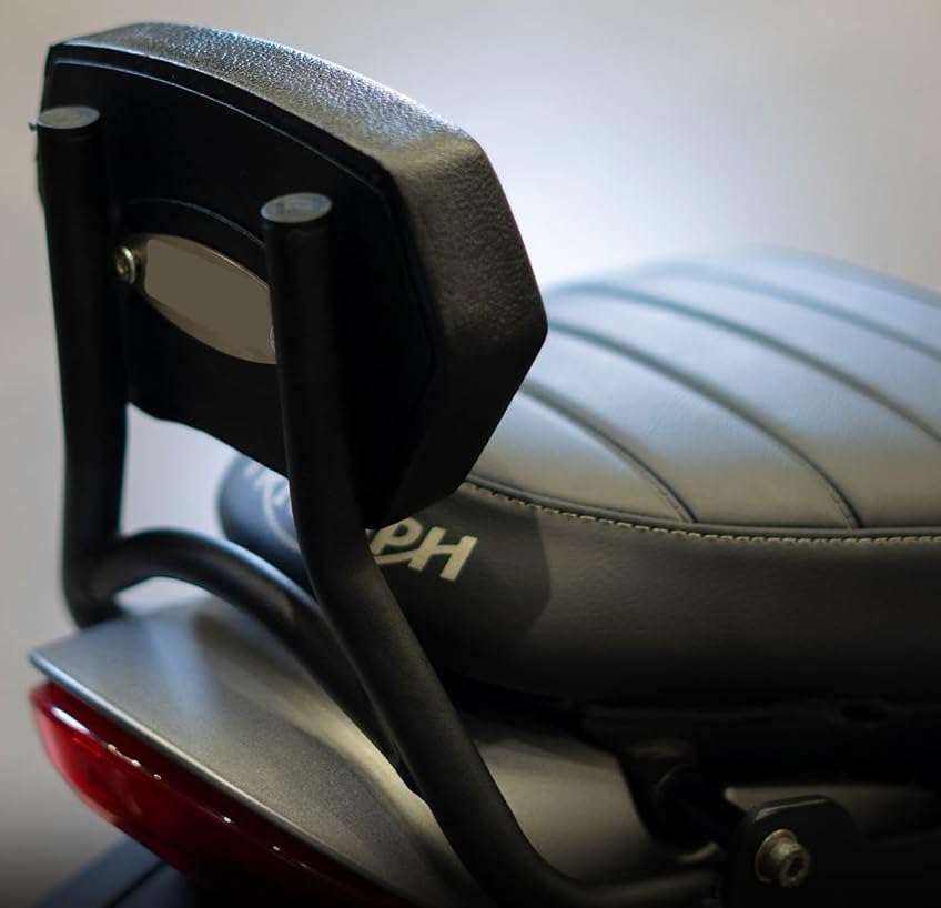 Backrest Compatible with TRIUMPH SPEED 400