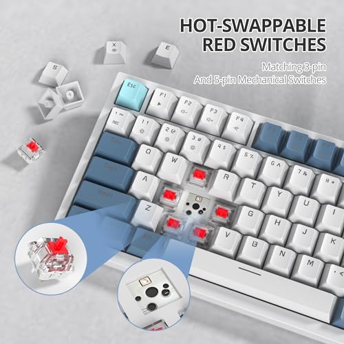Image of 75% TKL Wired Mechanical Keyboard,RGB Backlit Gasket Mount 82 Key Hot Swappable Custom Linear Red Switch Gaming Keyboard with Volume Knob & PBT Keycaps (82 Shoko)
