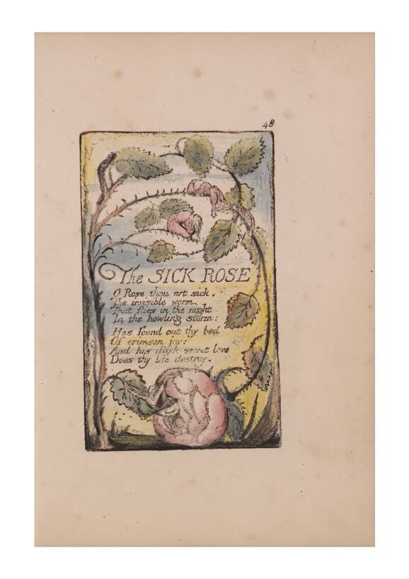 Poster William Blake pour chambre et bureau déco murale poétique grand format