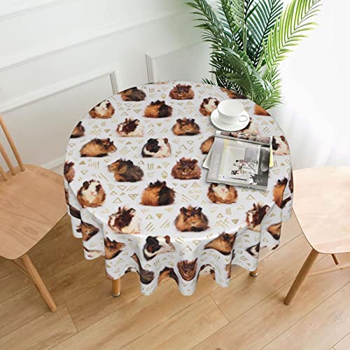 Nappe ronde en polyester lavable antitache pour table de repas 152 cm