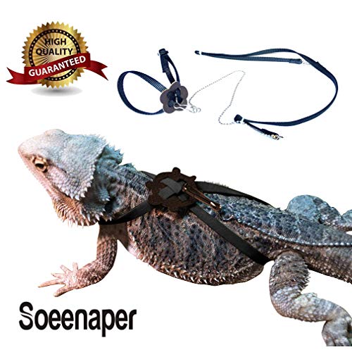 25 Best Bearded Dragon Leash and Harness in 2020 (Reviews & FAQs)