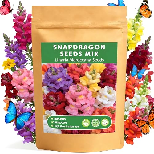 LUOJIBIE Snapdragon Seeds, 50,000+ Tetra Mix Snapdragon Seeds for Planting (Antirrhinum Majus) Fairy Bouquet Blend, Non-GMO Heirloom Annual Flower Garden Seeds Bulk for Outdoor & Indoor