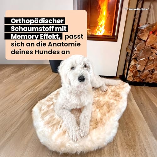 Wahre Tierliebe® Hundebett Relax - Das Original mit echter Matratze - waschbar, Hundekissen, Hundekorb, Flauschiges Hundebett für große, mittelgroße & kleine Hunde