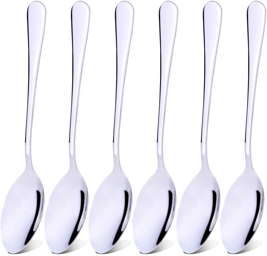 Qinglele 304 Stainless Steel Spoon,206mm,6Pcs