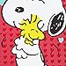 Hallmark Peanuts Valentines Day Cards Pack, Snoopy and Woodstock (10 Valentine's Day Cards with Envelopes)