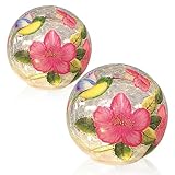 LEWIS&WAYNE Set of 2 Lighted Crackle Glass Balls 6’’ 4.7’’ Hummingbirds Pattern LED Night Light Globe Lamps with Warm White LED Battery Powered for Home Party Wedding Women’s Gift