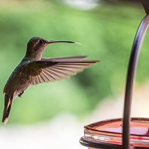 Mosaic Birds Hummble Slim Hummingbird Feeder, M045-301, 3.4 Ounce Capacity, Clear, 1 Piece - Image 2