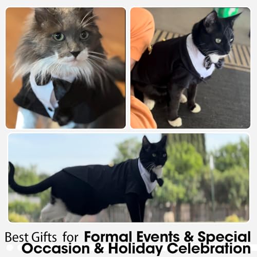 #1 Best Qbleev Cat Tuxedo - Premium Pet Apparel Set - Image 7