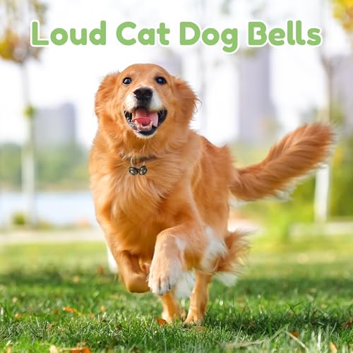 3 Stück Glocken,Laute Katzen Dog Glocke,Haustier Bells,Glöckchen,Kleine Glocke Halsband Anhänger,Hundeglocke Jagd,Hundeglocken Tracker Anti Verlust,Haustiere Laut Schellen,Basteln Katzenglocke