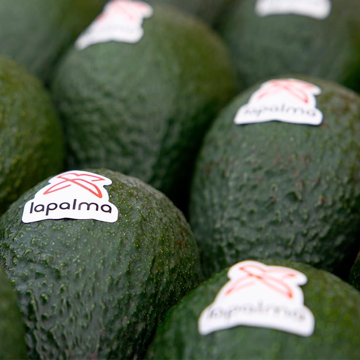 Aguacate Lamb Hass 4 kg, La Parcela, Origen España, Andalucía (Costa Tropical), Comprar Aguacate Fresco, De La Huerta A Tu Casa, Producto de Cooperativa Granada La Palma