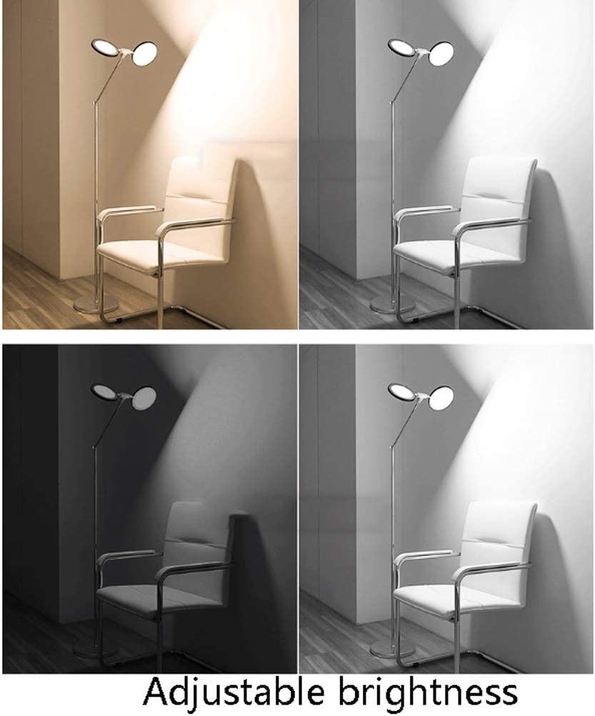 Amazon.co.jp : フロアライト フロアランプデュアルヘッドアイ