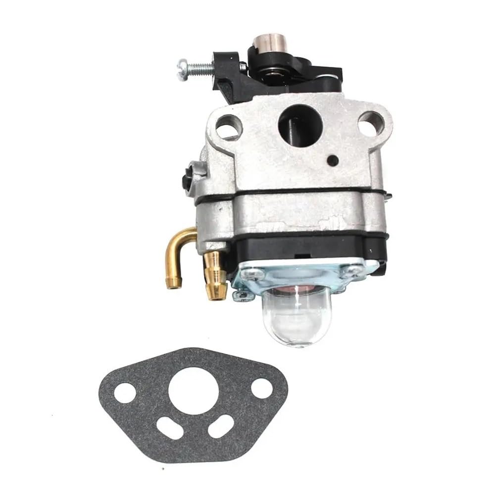 Carburateur de Remplacement Motoculture 250TR 8270 8271 Pièce Moteur