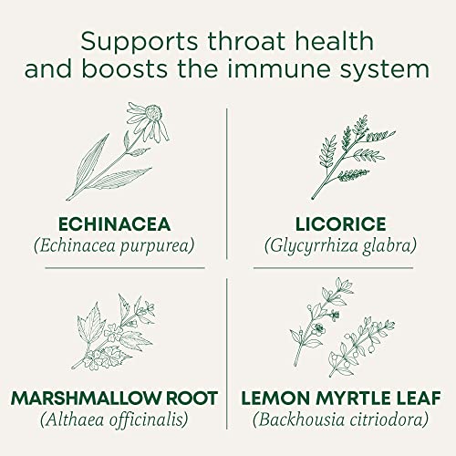 Traditional Medicinals Tea, Organic Throat Coat Lemon Echinacea, Supports Throat Health & Immune Fuction, 16 Tea Bags