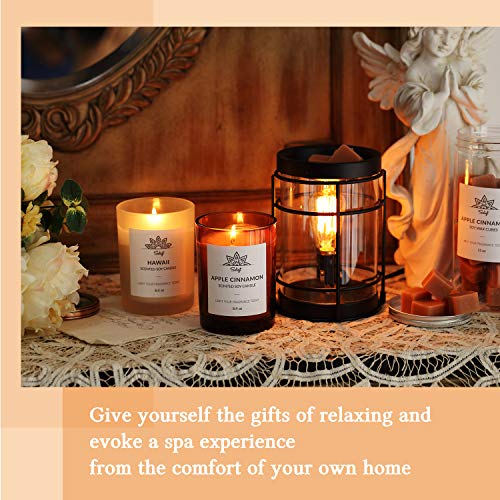 SOLIGT+Cocopin Edison Style Metal Candle Warmer for Wax Cubes Freshener Wax Melter, with 2 Pack Scented Wax - Thumbnail 7