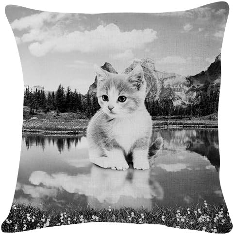 Kitten Nature Lake Photoshop - Throw Pillow Case Cushion Cover for Sofa Couch Double-sided printing 18x18 Inches Black and White