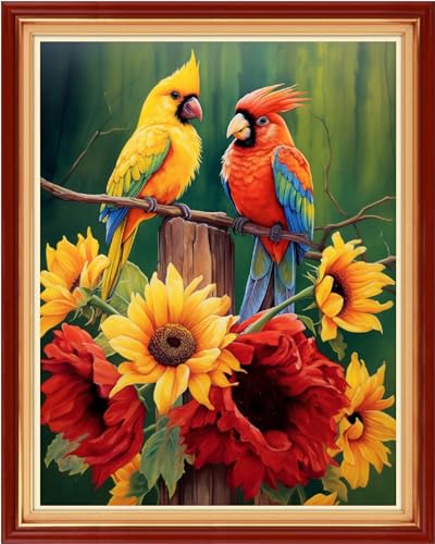 Image of Foxdiviy Cross Stitch Kits - Colorful Birds 16x20 inch - 11CT Embroidery Patterns - Starter Kits for Beginners & Adults