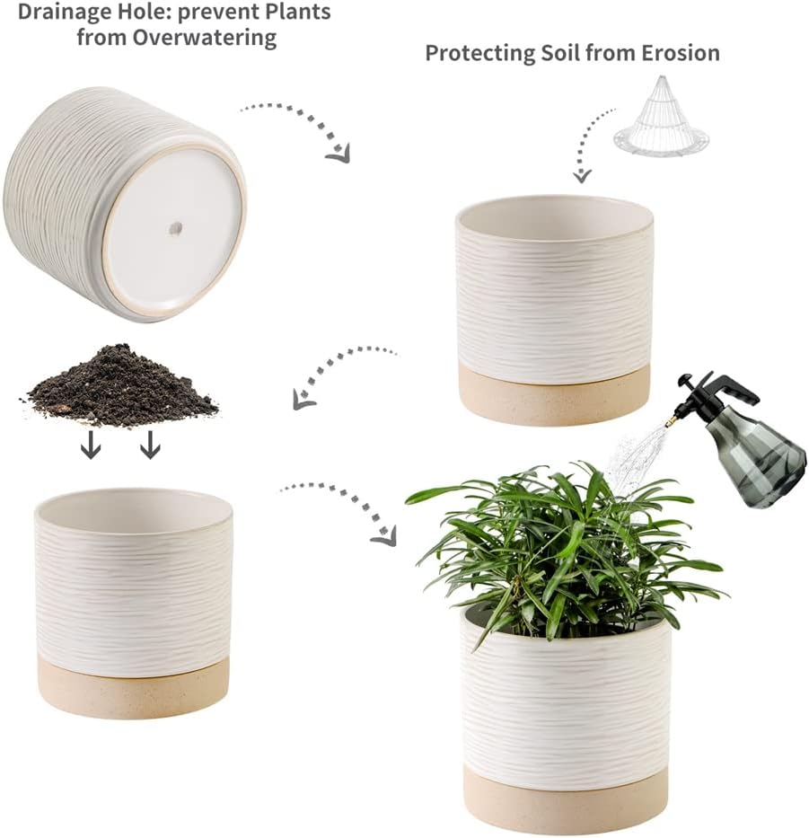 Nihow Ceramic Plant Pot: 6 Inch Planter with Drainage Hole & Saucer for Indoor & Outdoor Plants - Cylinder Round Flower Pot for Succulent/Herbs/Violets - Cream White & Brown - Image 3