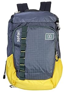 Safari 42 Ltrs Grey Laptop Backpack (Flash Grey)
