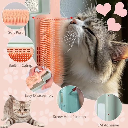 Qpets-Cat-Brush-Cat-Feather-Toys-Cat-Brush-with-Feather-Toy-for-Cats-Exercise-and-Hair-Removal-2-In-1-Cat-Grooming-Toy-Set-Cat-Feather-Teasing-Wand-Wall-Cat-Self-Grooming-Brush-Soft