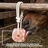 The Original Salt Company 100% Organic Himalayan Salt Lick Provides Essential Minerals for Your Horse/Livestock. This 4.4 lbs Natural Pink Salt Block on a Rope Supports Hydration/Digestion/Wellness. #3