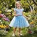Danvren Princess Dress for Toddler Girls Sleeveless Ruffle Sleeve Tulle Dresses Casual Summer Outfit for Girl 3-6 Years (US, Age, 3 Years, 4 Years, Ice Blue)