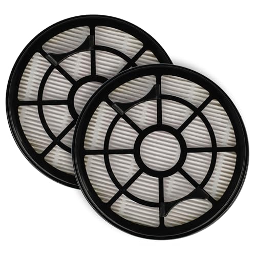 Filtre HEPA pour Rowenta Swift Power Cyclonic RO2910 RO2913 capture poussière vhbw