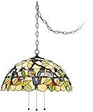 Robert Louis Tiffany Tropical Birds Tiffany Bronze Plug in Swag Pendant Chandelier 20