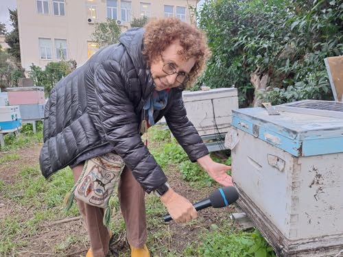 (19) Victoria Soroker -The test apiary copertina