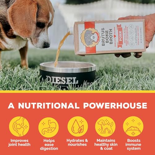 Image of Brutus Bone Broth Liquid for Dogs | All Natural | Made in USA | Glucosamine & Chondroitin for Healthy Joints | Human Grade Ingredients | Hydrating Food Topper, Gravy & Treat (Pork, 6-Pack)