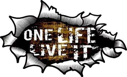 One Life Live It Funny Slogan with OVAL RIPPED OPEN TORN METAL Effect Motif Vinyl Car Sticker 150x90mm