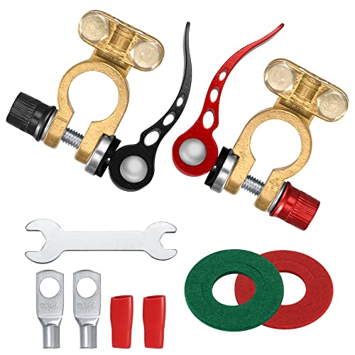 2 Pezzi Morsetti di Batteria 12 V/24 V/60 V