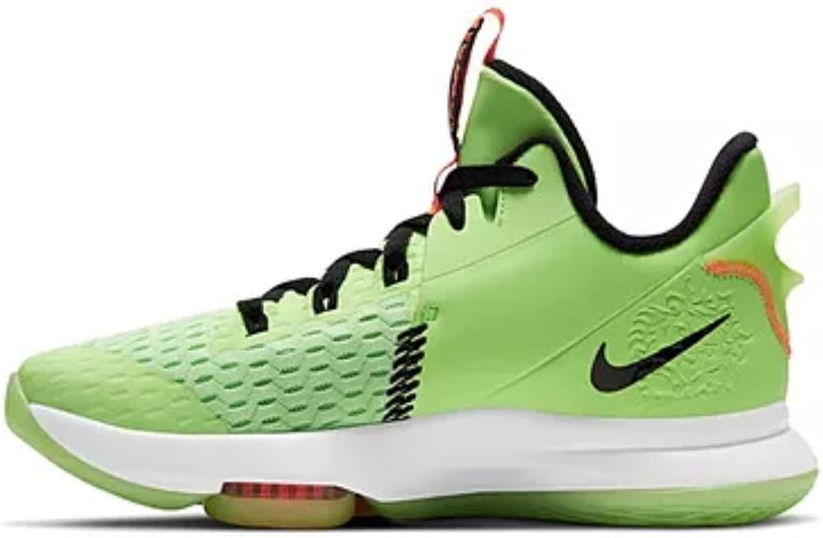 lebron whitness v