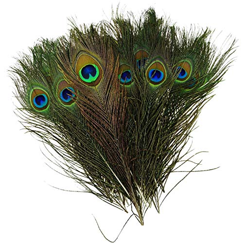 WedDecor 100 x 25,4-30,5 cm Plumes de Paon Naturelles Queues de Plumes Belle Plumes pour Vase Arts et Artisanat Maison Mariage Costumes Fêtes Carnaval Costumes DIY Décoration Cover