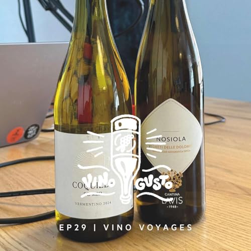 Ep.29 | Vino Voyages