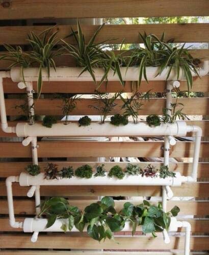 CLSSLVVBN 100 Cubes Semis Hydroponiques Respirants 25x25x40 Mm - Plantation Légumes Fraises Intérieur