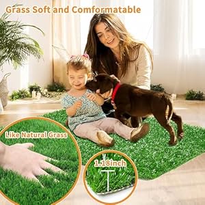 LOOBANI Dog Grass Pee Pads, Artificial Dog Grass Pads for Potty Tray, Fake Grass for Dogs to Pee On, Outdoor Indoor Pee Grass for Dog Potty… (18*23 inch)
