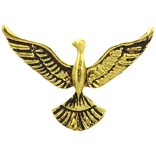 Lapel Pin For Men Suit Eagle Shape Brooches Broaches For Men Boys Girls For Office Corporate Party French Cuff Shirts Shirt Suit Blazer In A Gift Box Tscpgold1783