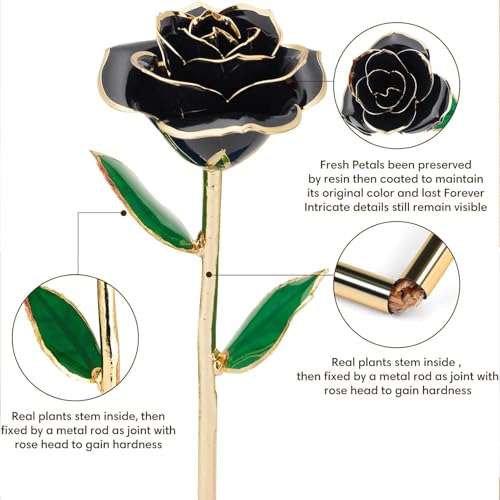 Image of Anthonic Gold Dipped Infinity Rose Last Forever Flower Decor, Birthday Gift for Women in Her Birthday Valentines Day Mothers Day, Resin Preserved Rose | Anniversary Present for Mom (Black)