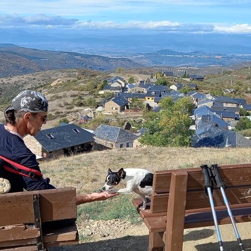 Buenas Noticias - 16/04/26