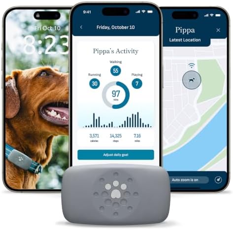 petivity Dog GPS Tracker Powered by Purina, Waterproof Real Time ...