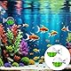 Co2 Dauertest Aquarium 2 Stück Aquarium CO2-Monitor CO2 Test Drop Checker Aquarium Co2 Tester für Aquarium Süßwasseraquariumv Fisch Tank