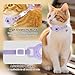DILLYBUD Airtag Cat Collar Breakaway, Stretchy Cat Tracker Collar with Apple Air Tag Holder for Boy Girl Cats, Elastic GPS Tracking Collars for Kittens and Puppies, Adjustable 9
