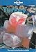 Lonely Planet Turkey, 6th Edition